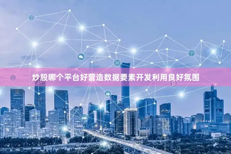 炒股哪个平台好营造数据要素开发利用良好氛围