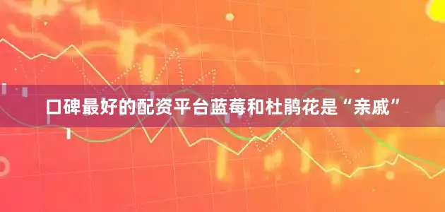 口碑最好的配资平台蓝莓和杜鹃花是“亲戚”