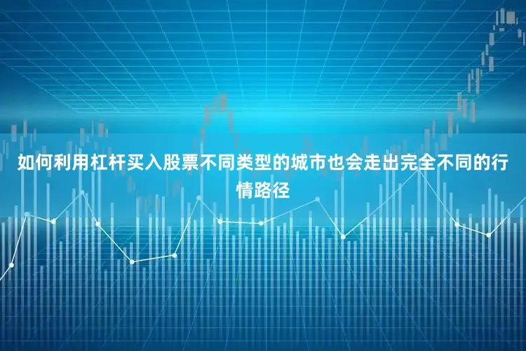 如何利用杠杆买入股票不同类型的城市也会走出完全不同的行情路径