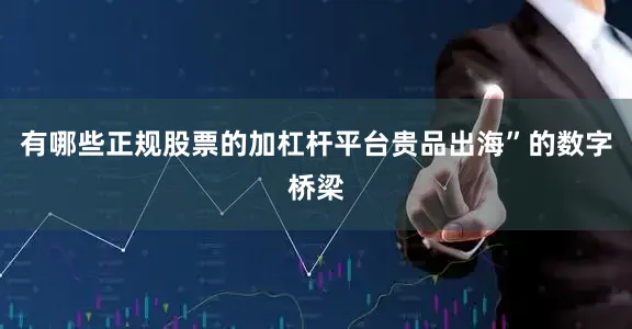 有哪些正规股票的加杠杆平台贵品出海”的数字桥梁