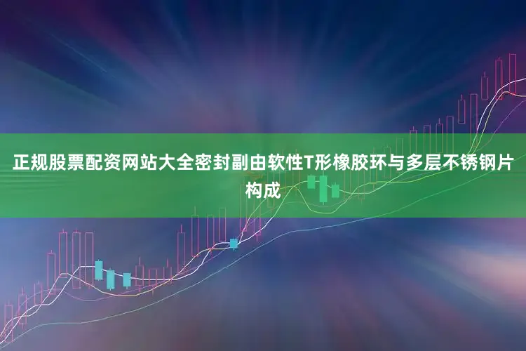正规股票配资网站大全密封副由软性T形橡胶环与多层不锈钢片构成