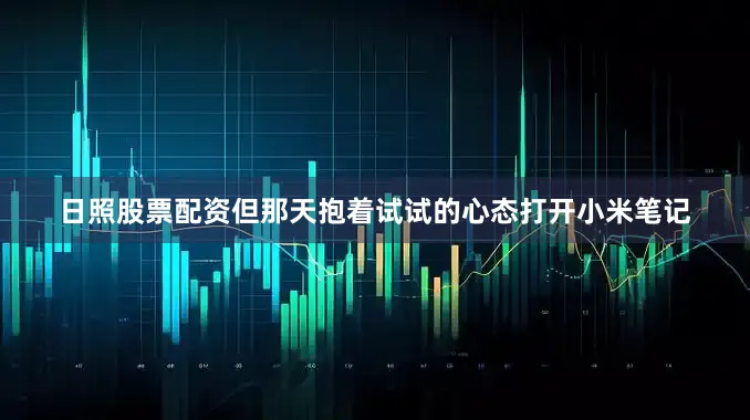 日照股票配资但那天抱着试试的心态打开小米笔记