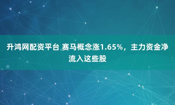 升鸿网配资平台 赛马概念涨1.65%，主力资金净流入这些股