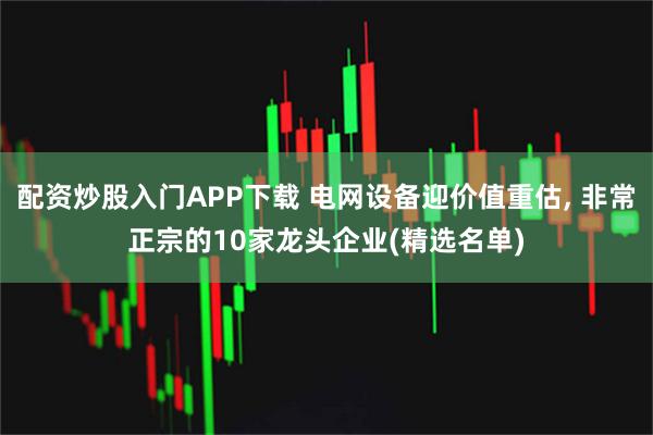 配资炒股入门APP下载 电网设备迎价值重估, 非常正宗的10家龙头企业(精选名单)