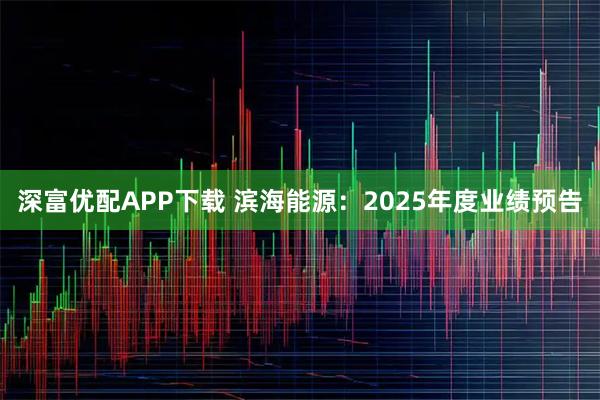 深富优配APP下载 滨海能源：2025年度业绩预告